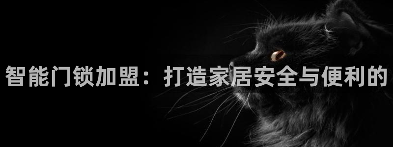 利记官网是多少：智能门锁加盟：打造家居安全与便利的