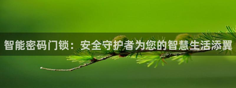 香港利记集团官网地址:智能密码门锁:安全守护者为您的智慧生活