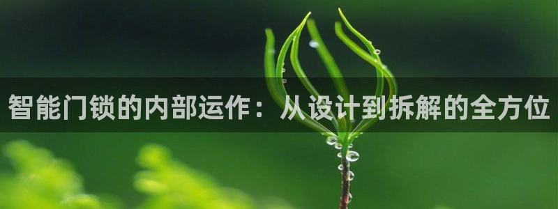 利记平台官网首页：智能门锁的内部运作：从设计到拆解的全方位