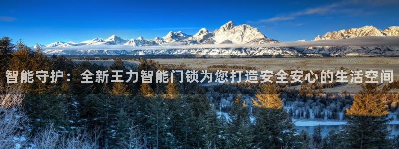 利记网官网网址：智能守护：全新王力智能门锁为您打造安全安心的