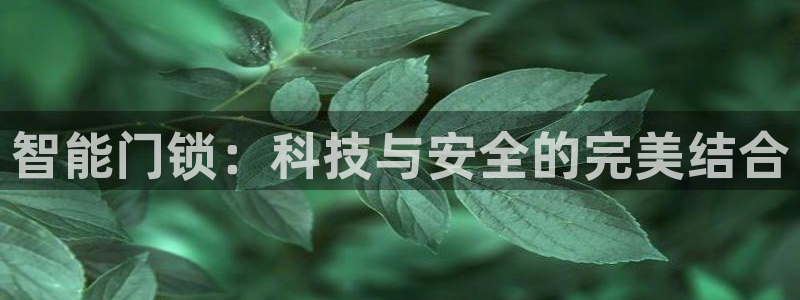 香港利记集团官网旗舰店：智能门锁：科技与安全的完美结合