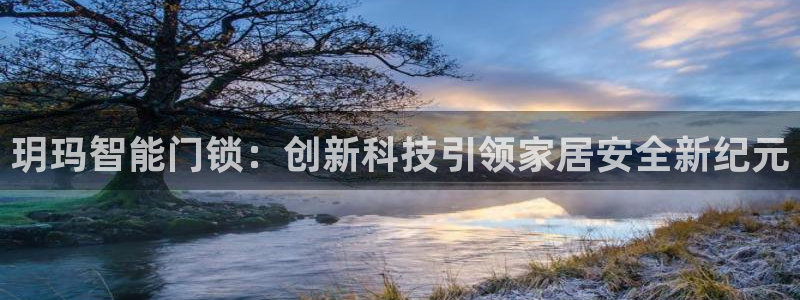 利记彩票网网址官网hd71：玥玛智能门锁：创新科技引领家居安