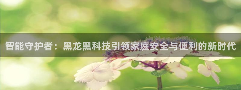 香港利记集团官网招聘：智能守护者：黑龙黑科技引领家庭安全与便