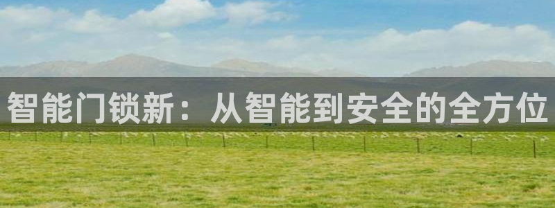 利记app官网入口：智能门锁新：从智能到安全的全方位