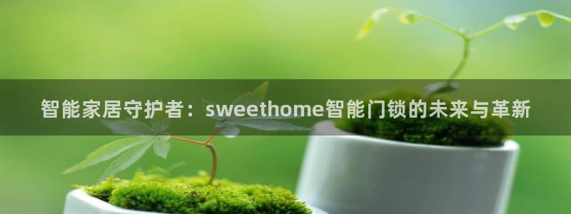 利记体育官网首页：智能家居守护者：sweethome智能门锁