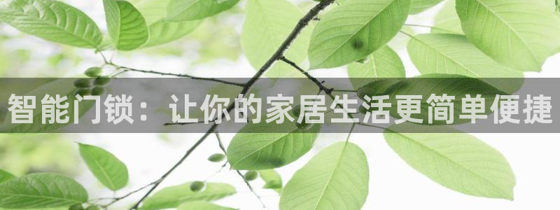 利记官网是什么：智能门锁：让你的家居生活更简单便捷