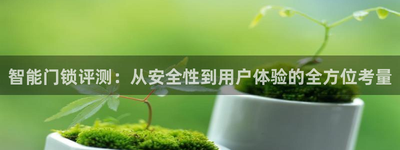 sbo利记体育官网注册：智能门锁评测：从安全性到用户体验的全