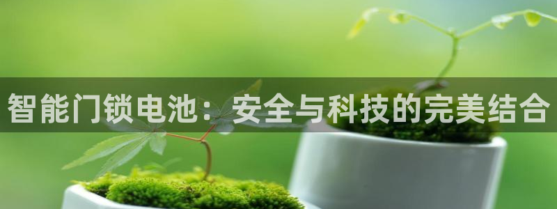 利记坊官网注册账号：智能门锁电池：安全与科技的完美结合