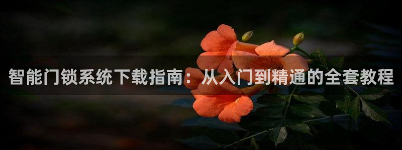 利记官网入口：智能门锁系统下载指南：从入门到精通的全套教程