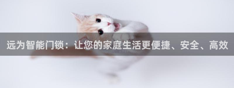 利记官网官方网站：远为智能门锁：让您的家庭生活更便捷、安全、