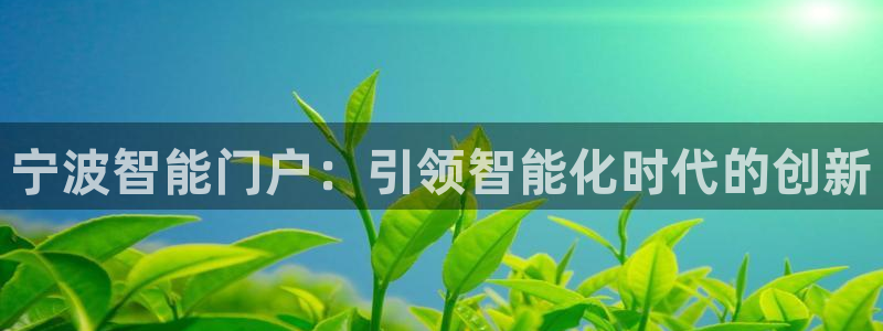 利记官网a：宁波智能门户：引领智能化时代的创新