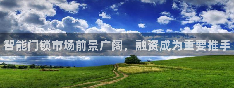 利记二手车行官网：智能门锁市场前景广阔，融资成为重要推手