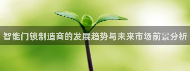 万利记菜单价格查询官网：智能门锁制造商的发展趋势与未来市场前