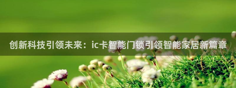 利记官网入口：创新科技引领未来：ic卡智能门锁引领智能家居新