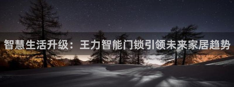 利记官网地址：智慧生活升级：王力智能门锁引领未来家居趋势