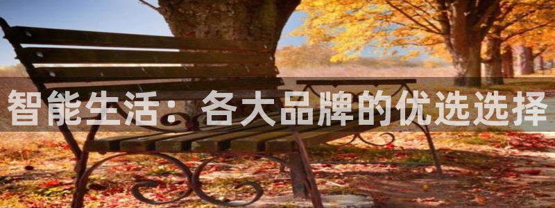 利记体育官网首页：智能生活：各大品牌的优选选择