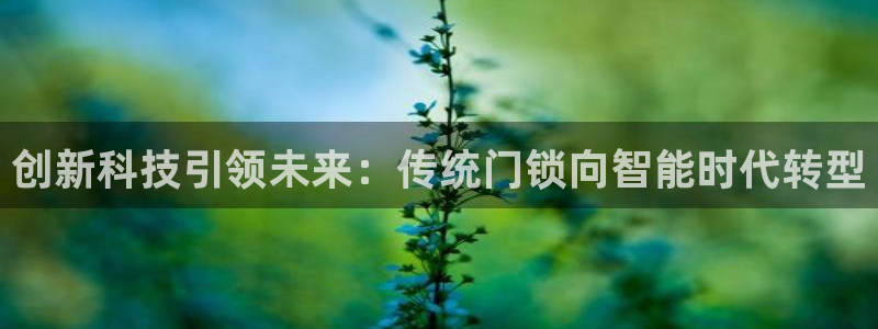 利记官网多少：创新科技引领未来：传统门锁向智能时代转型