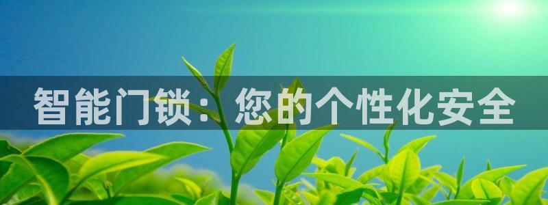 利记官网电脑版：智能门锁：您的个性化安全