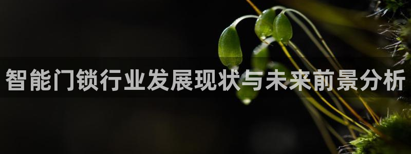 利记网官网