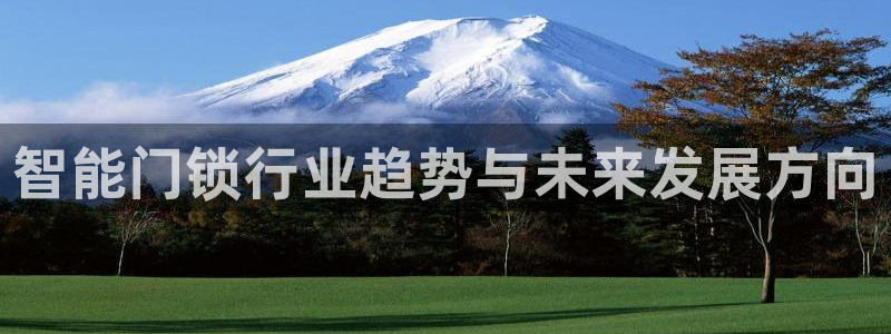 澳门大利来记官网：智能门锁行业趋势与未来发展方向