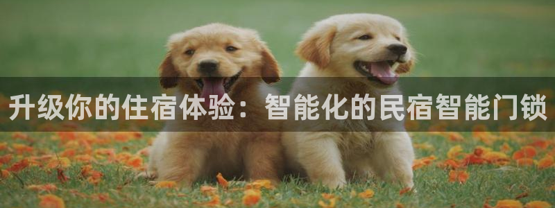利记彩票官网wx678 com：升级你的住宿体验：智能化的民
