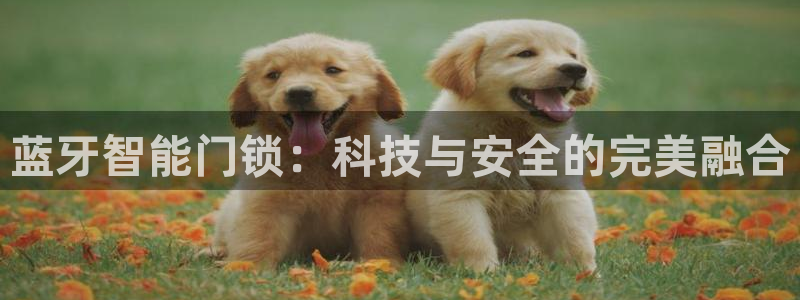 香港利记集团官网招聘：蓝牙智能门锁：科技与安全的完美融合