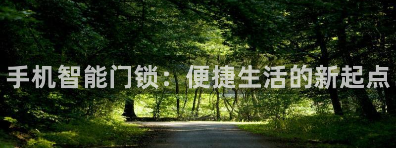 利记手机官网葡京备用：手机智能门锁：便捷生活的新起点