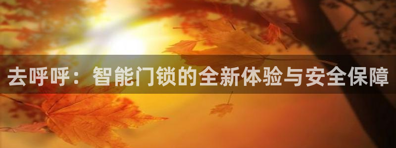 利记体育官网地址：去呼呼：智能门锁的全新体验与安全保障