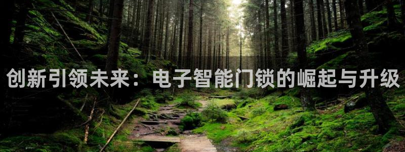 香港利记集团官网招聘：创新引领未来：电子智能门锁的崛起与升级