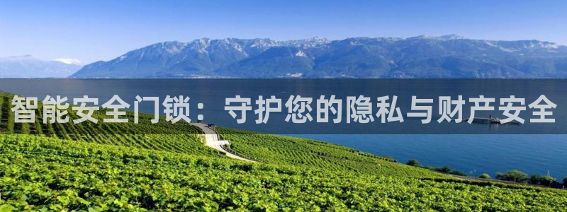 利记sbobet官网：智能安全门锁：守护您的隐私与财产安全