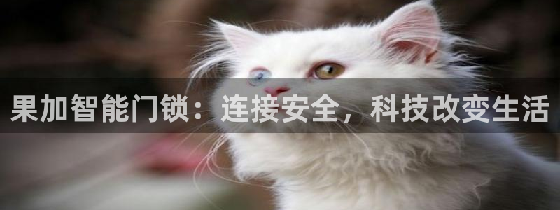 利记的官网：果加智能门锁：连接安全，科技改变生活