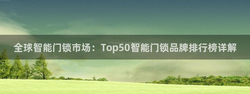 sbotop利记官网：全球智能门锁市场：Top50智能门锁品