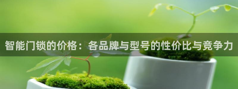 铂利记旗舰店官网电话：智能门锁的价格：各品牌与型号的性价比与