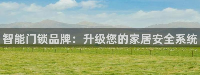 利记坊官网注册：智能门锁品牌：升级您的家居安全系统