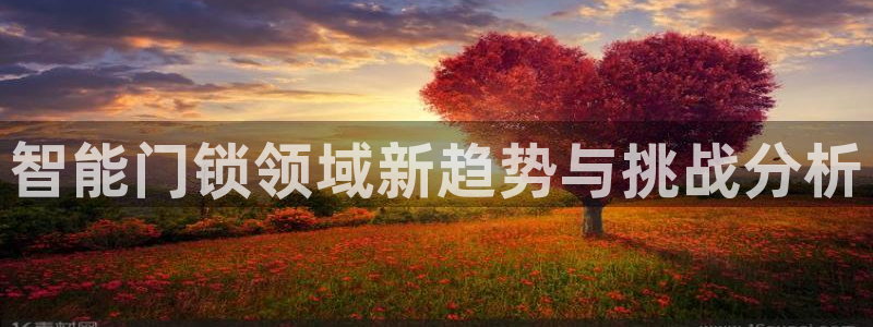 利记官网是真的吗：智能门锁领域新趋势与挑战分析