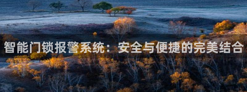 利记sbobe官网：智能门锁报警系统：安全与便捷的完美结合