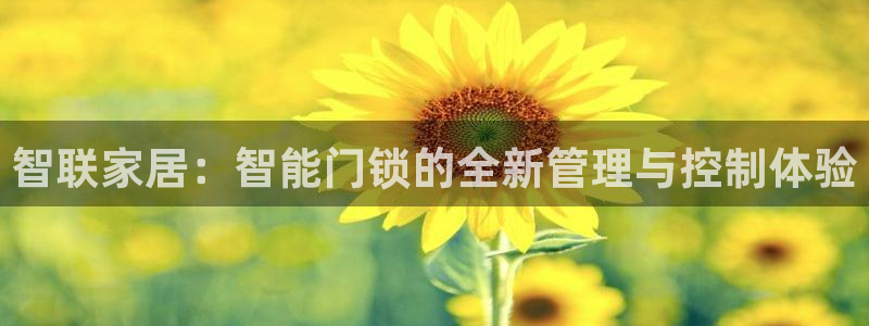 利记买球官网：智联家居：智能门锁的全新管理与控制体验