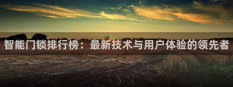 利记彩票官网wx678 com：智能门锁排行榜：最新技术与用