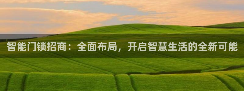 利记体育在线官网：智能门锁招商：全面布局，开启智慧生活的全新