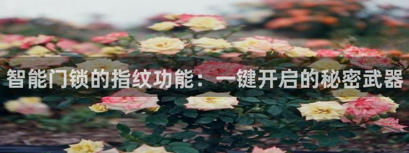 利记官网入口最新版：智能门锁的指纹功能：一键开启的秘密武器
