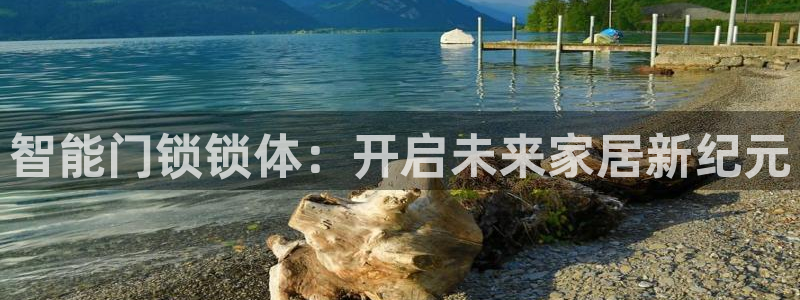 利记手机官网bb电子平台官方：智能门锁锁体：开启未来家居新纪