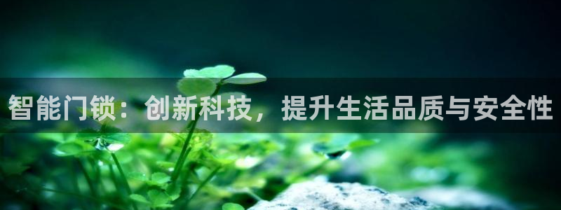 利记真的官网：智能门锁：创新科技，提升生活品质与安全性