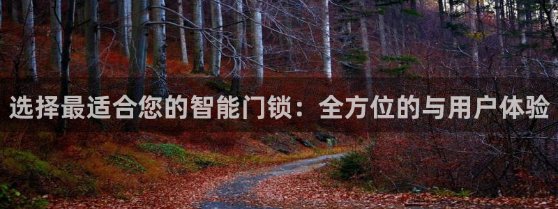 利记手机官网入口：选择最适合您的智能门锁：全方位的与用户体验