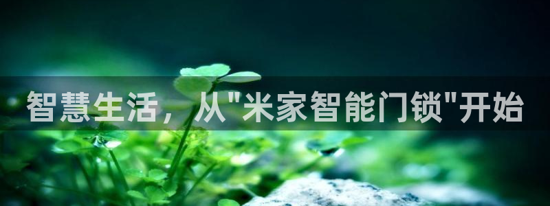 利记手机官网银河网：智慧生活，从\