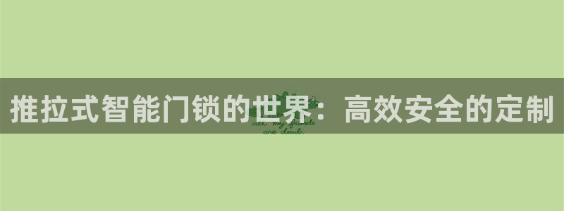 利记app官方官网登录：推拉式智能门锁的世界：高效安全的定制