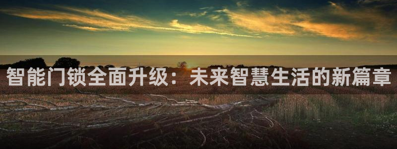 利记官网登录：智能门锁全面升级：未来智慧生活的新篇章