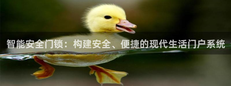 利记官网入口：智能安全门锁：构建安全、便捷的现代生活门户系统