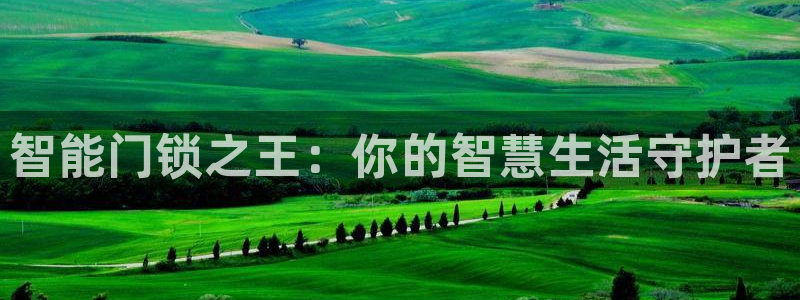 利记体育app官网：智能门锁之王：你的智慧生活守护者