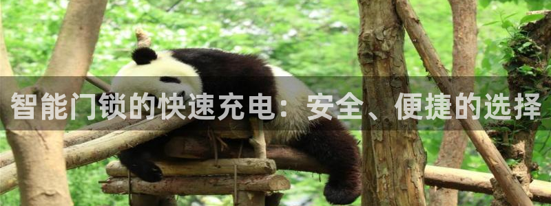 利记娱乐会员金钻官网：智能门锁的快速充电：安全、便捷的选择