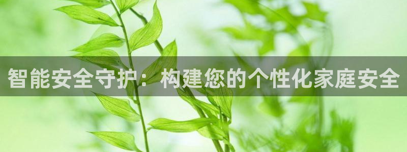 利记手机官网葡京备用：智能安全守护：构建您的个性化家庭安全